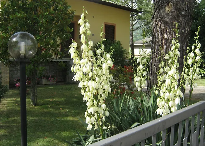 Appartamenti Il Borgo