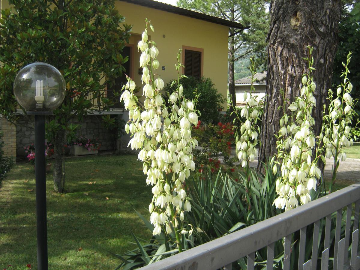 Apartment Il Borgo